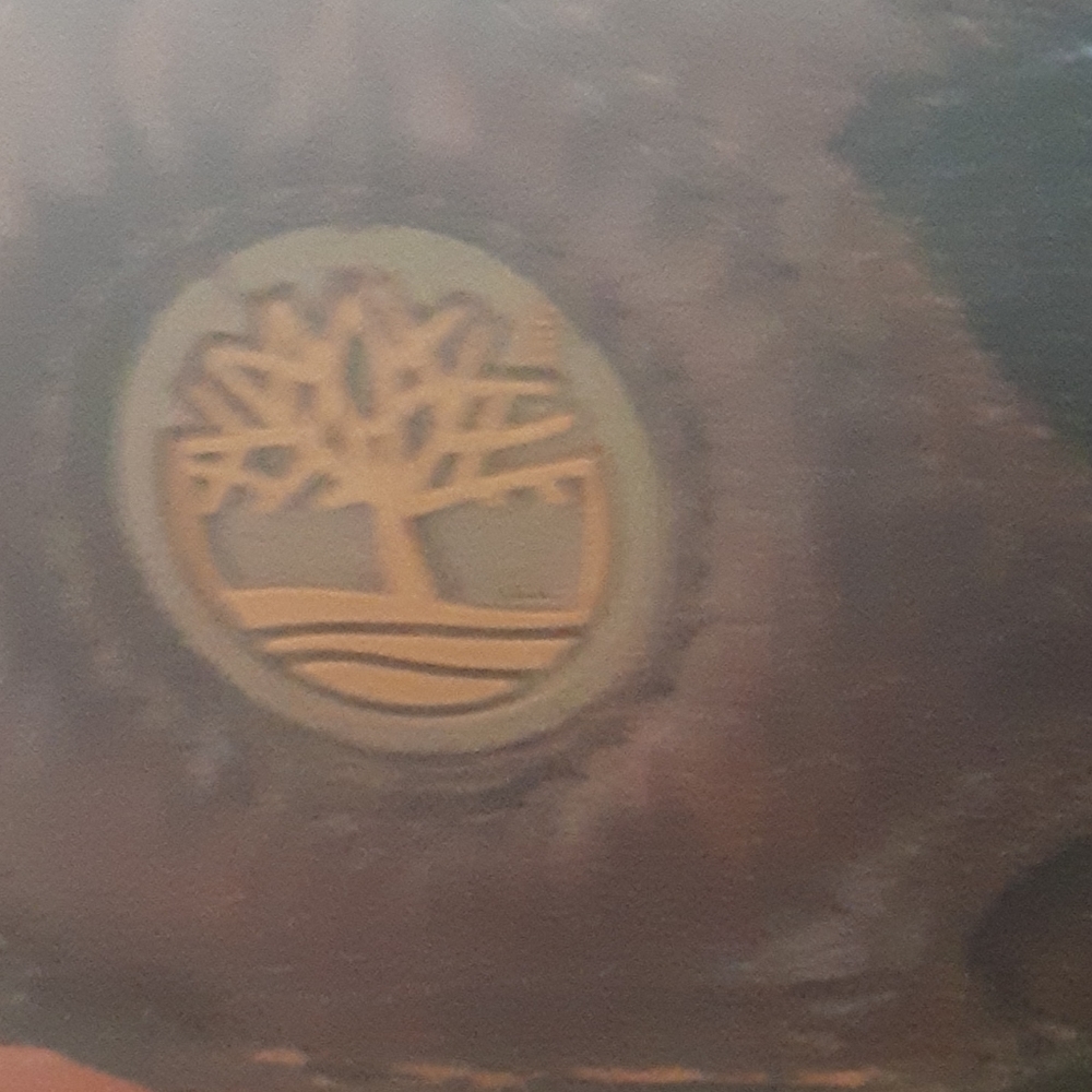 Scandals - Picture 6 of 16